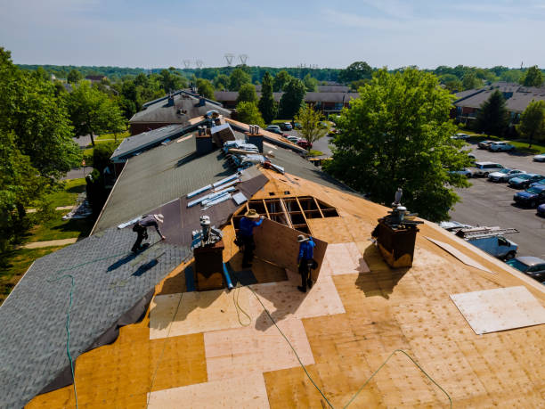 Best Roof Gutter Cleaning  in Blue Rapids, KS