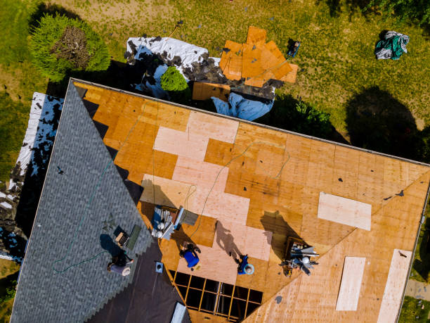 Best Roof Repair Services  in Blue Rapids, KS