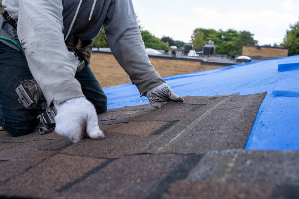 Best Roof Waterproofing Services  in Blue Rapids, KS
